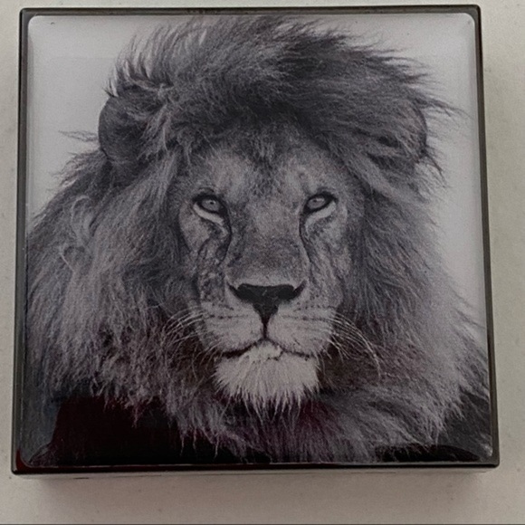 Chanteceille Metallic Eye Shadow Limited Edition 6 eye shadows brush set - Picture 6 of 16